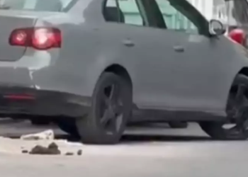 Ejecutan a Luis Alberto Rueda, funcionario municipal, mientras conducía su auto en Chilpancingo