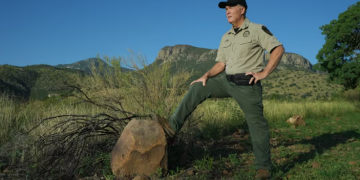 EEUU ya vigila a los viajeros a través de un nuevo programa “secreto” a cargo de la Patrulla Fronteriza.