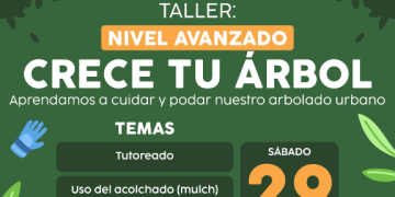 Realizará Gobierno de Hermosillo Taller “Crece Tu Árbol” nivel avanzando este sábado 29