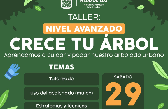 Realizará Gobierno de Hermosillo Taller “Crece Tu Árbol” nivel avanzando este sábado 29