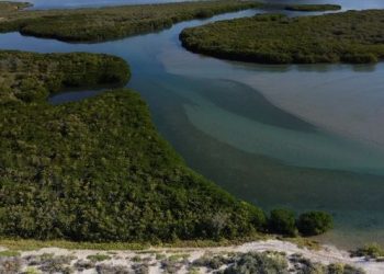 Especialistas del INAH piden notificar hallazgos arqueológicos en Estero El Soldado