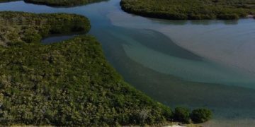 Especialistas del INAH piden notificar hallazgos arqueológicos en Estero El Soldado