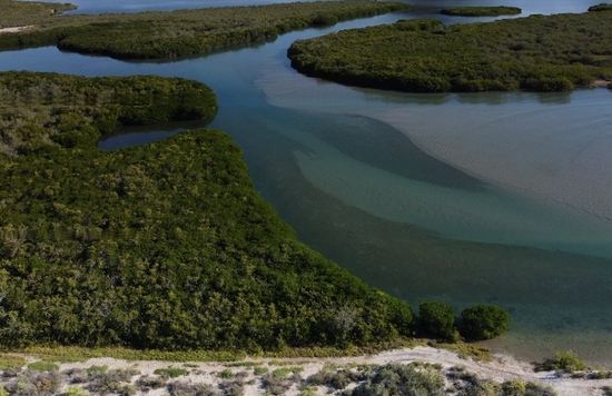 Especialistas del INAH piden notificar hallazgos arqueológicos en Estero El Soldado