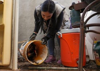 Llama Secretaría de Salud a reforzar prevención contra el dengue ante llegada de clima frío
