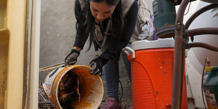 Llama Secretaría de Salud a reforzar prevención contra el dengue ante llegada de clima frío