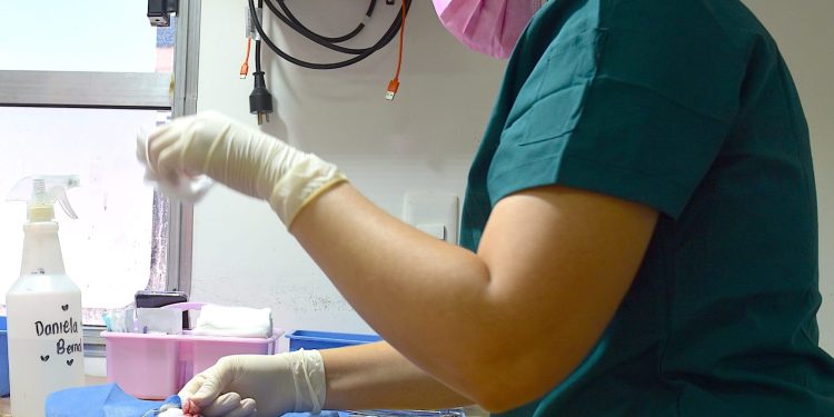 Informa Instituto de Protección y Bienestar Animal jornadas gratuitas de esterilización