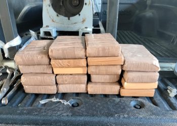 Policía Federal ministerial incauta 20 kilos de cocaína en empresa de paquetería.