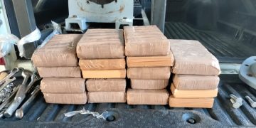 Policía Federal ministerial incauta 20 kilos de cocaína en empresa de paquetería.