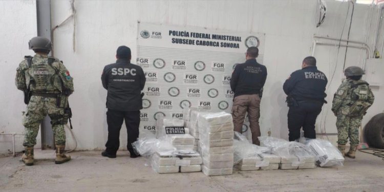 Decomisan 400 kilos de cocaína en Caborca