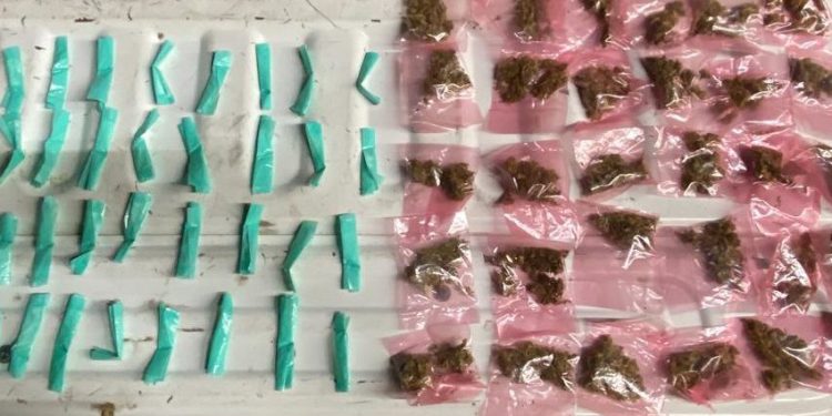 Operativo coordinado de la Policía Estatal y Defensa incautan narcótico en Hermosillo