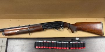 FGR obtiene 29 sentencias condenatorias en la zona noroeste de Sonora en el mes de noviembre