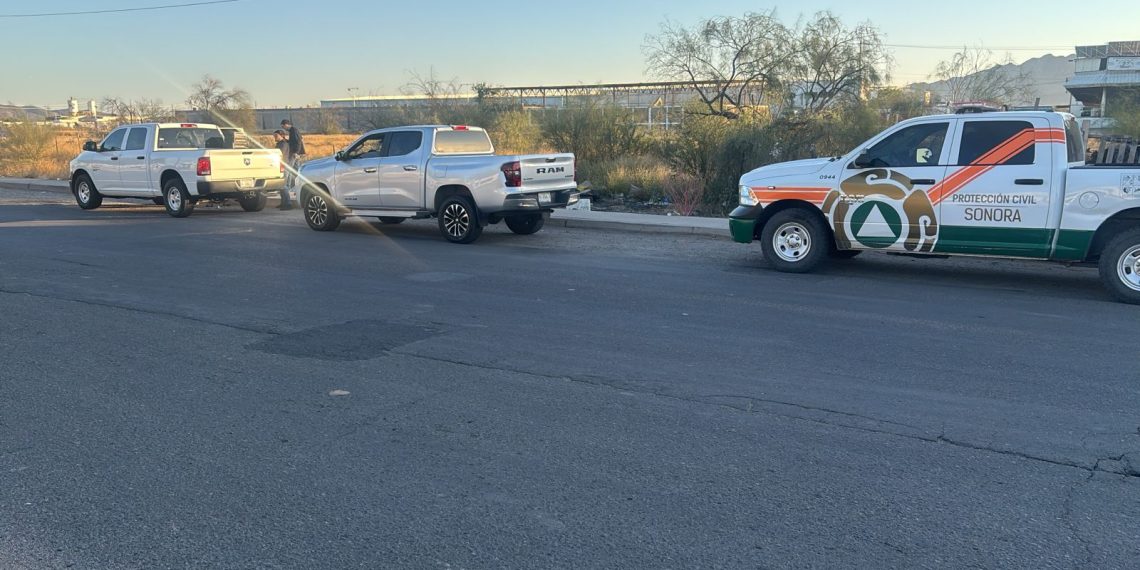 Operativo interinstitucional logra localizar a madre buscadora en Mesa del Seri