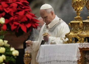 El Papa León XIV inició 2026 con un solemne llamado a la paz global y para cada familia