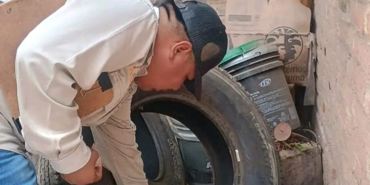 Llama Salud Sonora a reforzar medidas contra el dengue por recientes lluvias