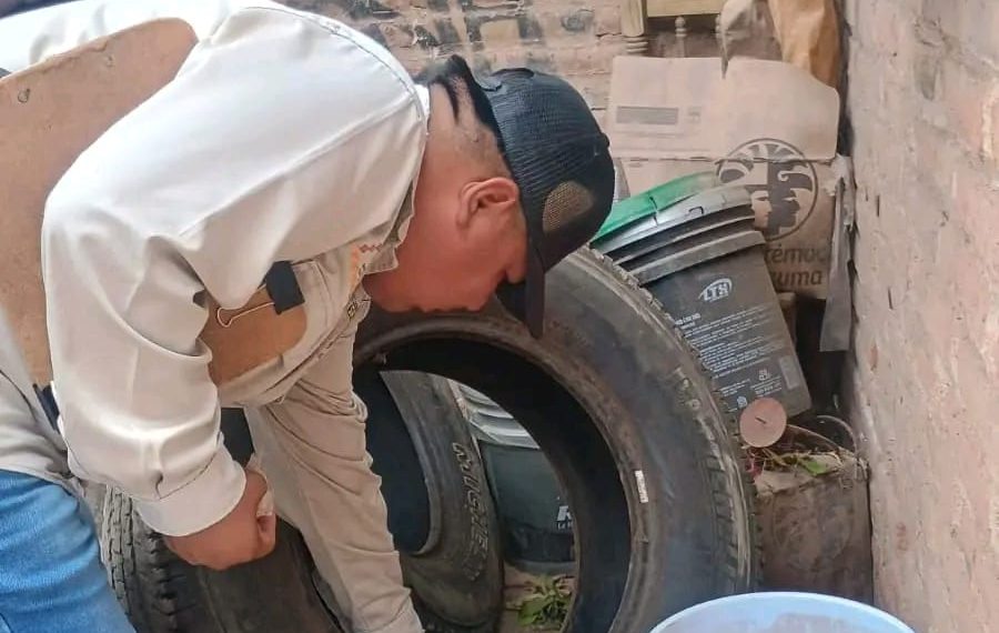 Llama Salud Sonora a reforzar medidas contra el dengue por recientes lluvias