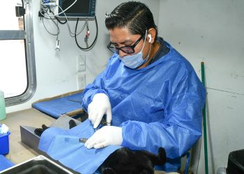 Invita Gobierno Municipal a esterilizar animales de compañía en el Centro de Castración en Bahía de Kino