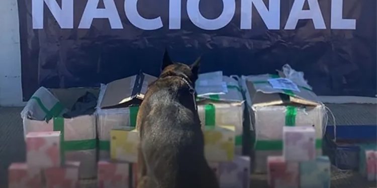 Aseguran más de mil 600 vapeadores en empresa de mensajería