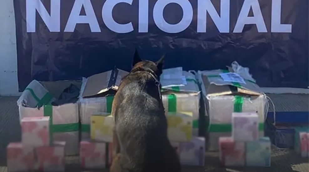 Aseguran más de mil 600 vapeadores en empresa de mensajería