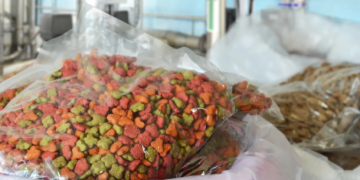 Convoca Gobierno de Hermosillo a participar en Tercer Croquetón