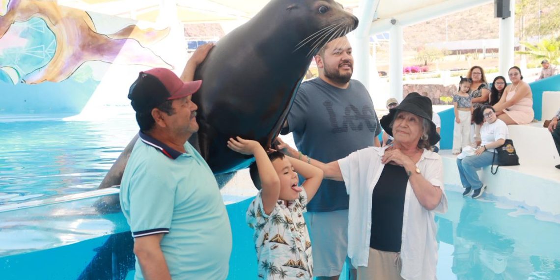 Cedes invita a disfrutar el Delfinario durante Semana Santa