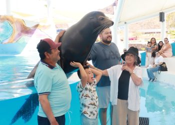 Cedes invita a disfrutar el Delfinario durante Semana Santa