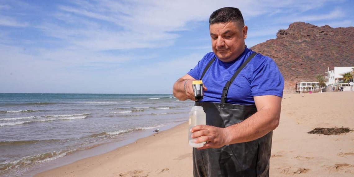 Las playas de Sonora son aptas para uso recreativo: Coesprisson