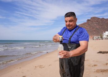 Las playas de Sonora son aptas para uso recreativo: Coesprisson