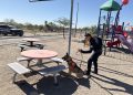 Binomio K-9 de la PESP deteca droga en parque en Hermosillo
