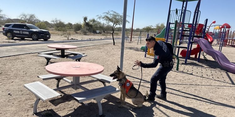 Binomio K-9 de la PESP deteca droga en parque en Hermosillo