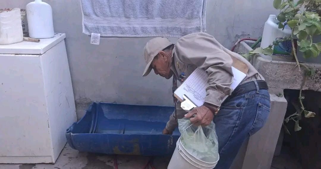 Exhorta Secretaría de Salud a mantener la limpieza del hogar para prevenir la rickettsia