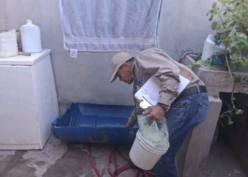 Exhorta Secretaría de Salud a mantener la limpieza del hogar para prevenir la rickettsia