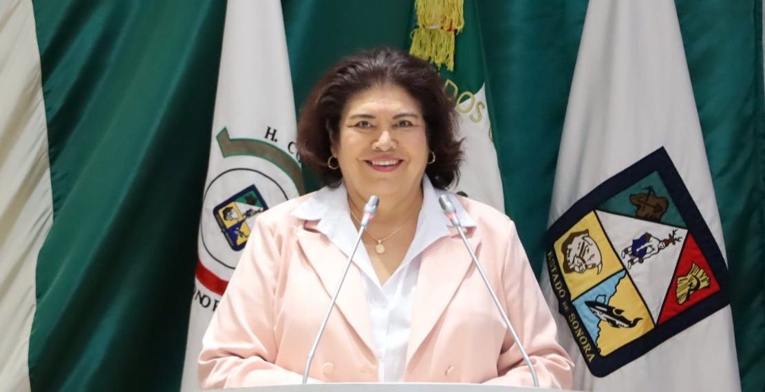 Propone la diputada María Alicia Gaytán crear el Sistema de Registro Hospitalario de Nacimientos.