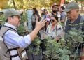 Convoca Gobierno de Hermosillo a aprender a germinar un árbol nativo y técnicas de poda
