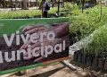 Este viernes 20 el Vivero Municipal donará árboles nativos