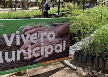Este viernes 20 el Vivero Municipal donará árboles nativos