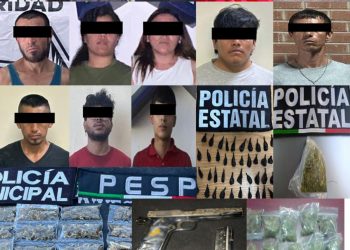 Acciones operativas de la Policía Estatal contra el narcomenudeo incauta más de 700 envoltorios de narcótico