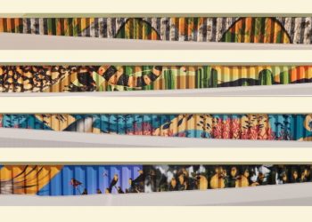 Seleccionan la propuesta muralística de la convocatoria “Intervención mural en el paso a desnivel”