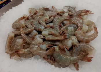 Recomienda Isssteson cuidar el estado de los alimentos en Semana Mayor