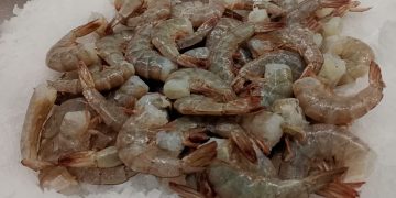 Recomienda Isssteson cuidar el estado de los alimentos en Semana Mayor