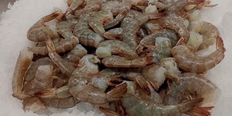 Recomienda Isssteson cuidar el estado de los alimentos en Semana Mayor