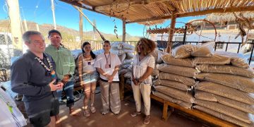 Entrega Omar Del Valle Colosio una tonelada de croquetas a comunidad comca’ac