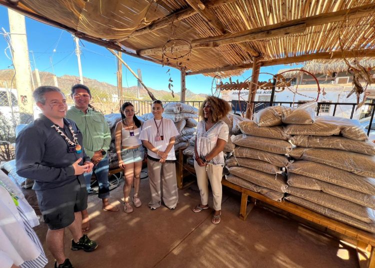 Entrega Omar Del Valle Colosio una tonelada de croquetas a comunidad comca’ac