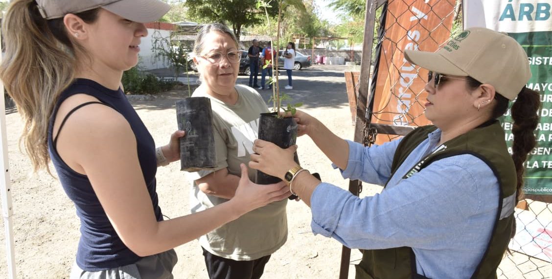 Invita Gobierno de Hermosillo a adoptar un árbol nativo este viernes 17 de abril
