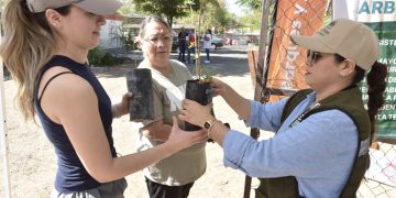 Invita Gobierno de Hermosillo a adoptar un árbol nativo este viernes 17 de abril