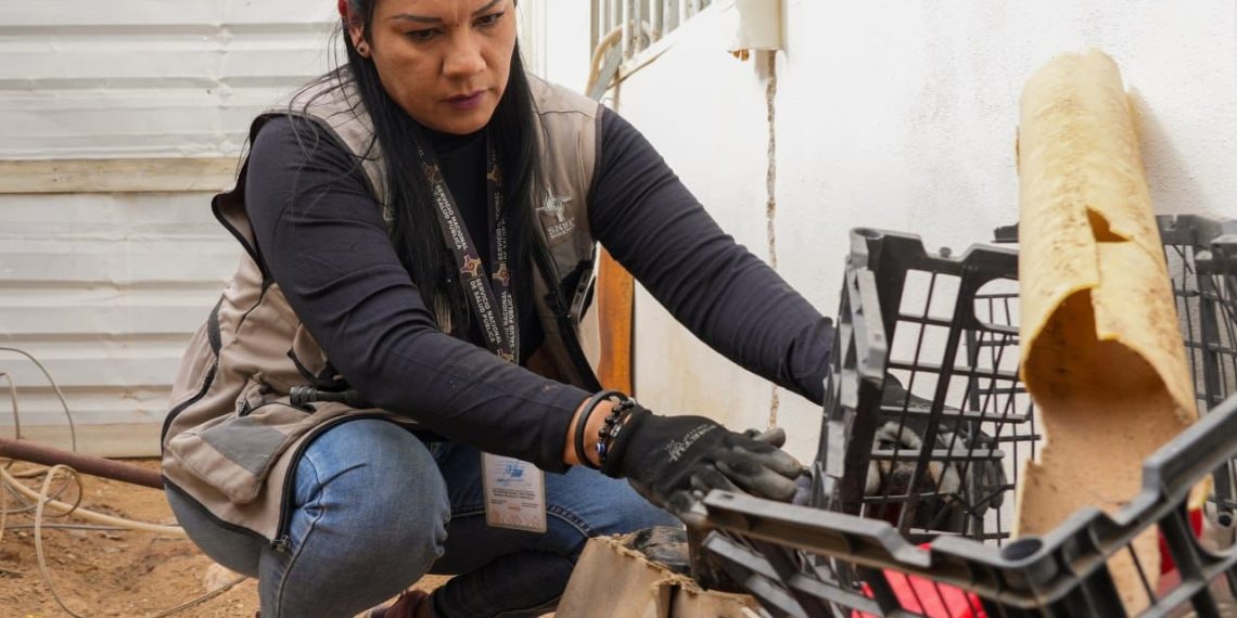 Promueve Salud Sonora estrategia “Casa Limpia” para prevenir enfermedades