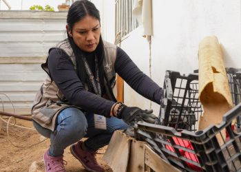 Promueve Salud Sonora estrategia “Casa Limpia” para prevenir enfermedades