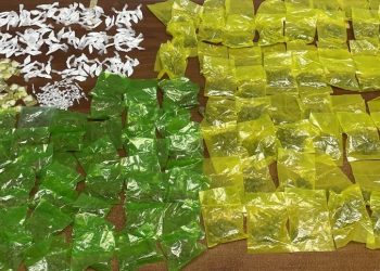 Acciones de la Policía Estatal en coordinación operativa aseguran más de 750 envoltorios de narcótico en Nogales