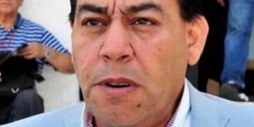 Las plumas se nos van, ¿quién los reemplazará?.