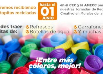 Convoca Gobierno de Hermosillo a donar “Tapitas por el medio ambiente”