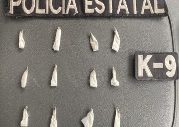 Con precisión y disciplina, PESP K-9 concreta detención en Hermosillo